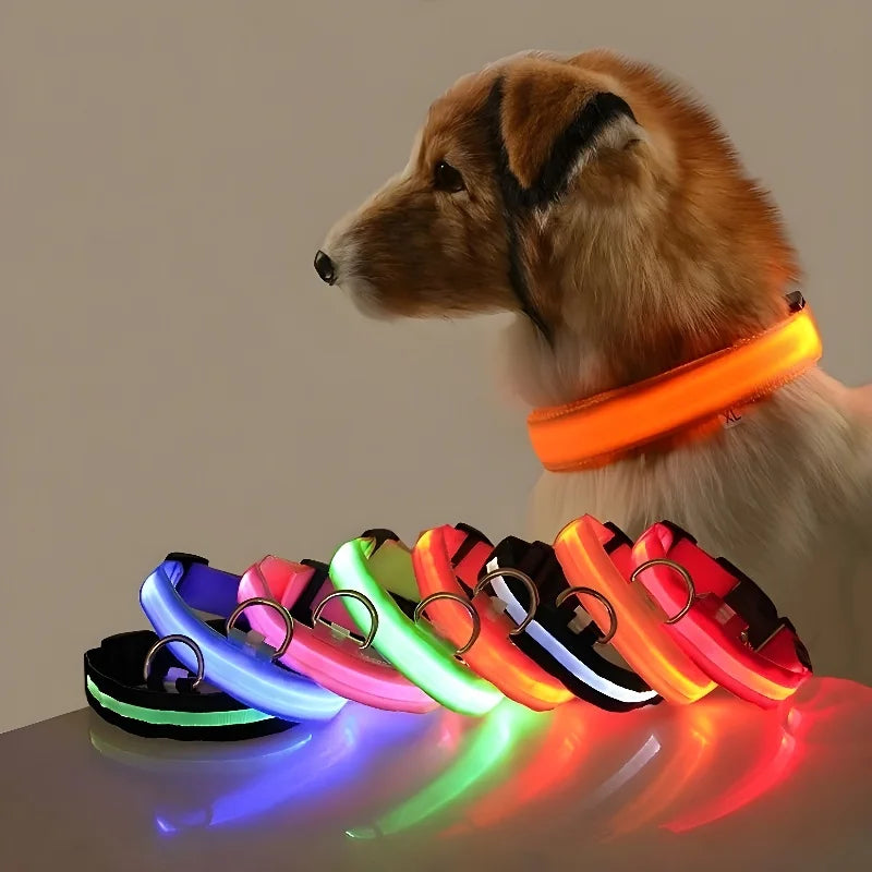 Luxe LED Dog Collar for Ultimate Night Safety