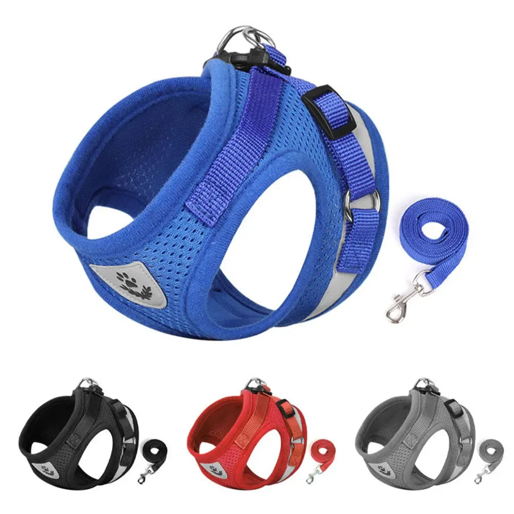 Adjustable Cat Harness with Reflective Details for Extra Safety