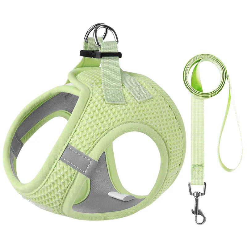 Comfortable and Reflective Harness & Leash for Pets for Safe and Stylish Walking