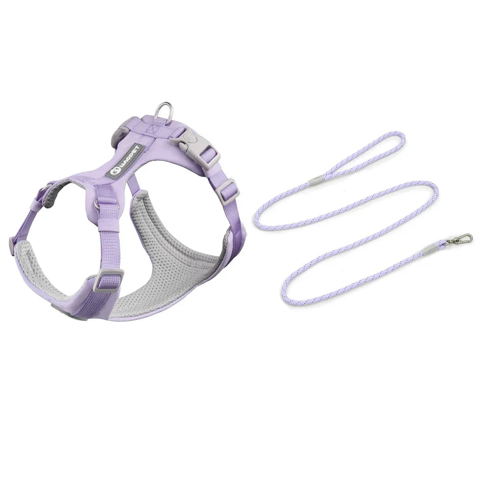 Ultimate Harness and Rope Set for Outdoor Training and Adventure