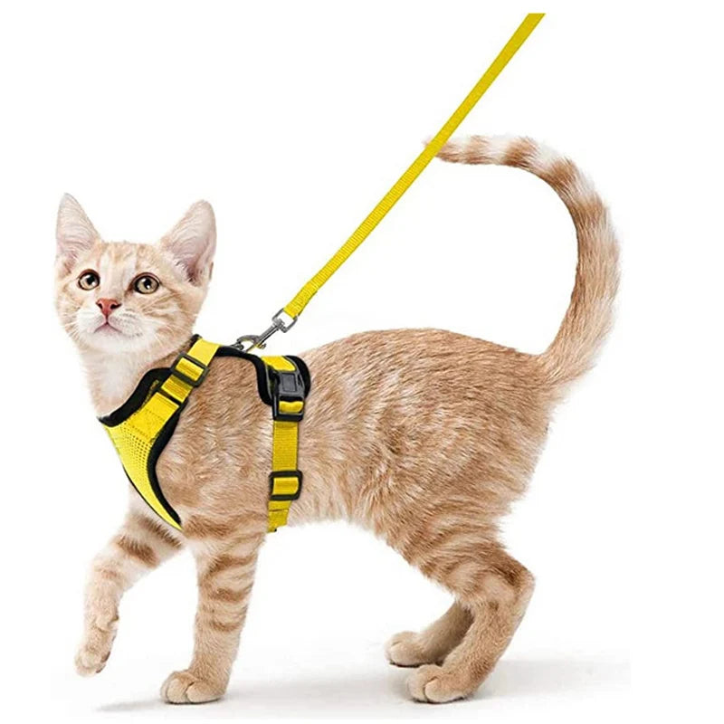 Comfortable and Safe Walking Harness for Cats