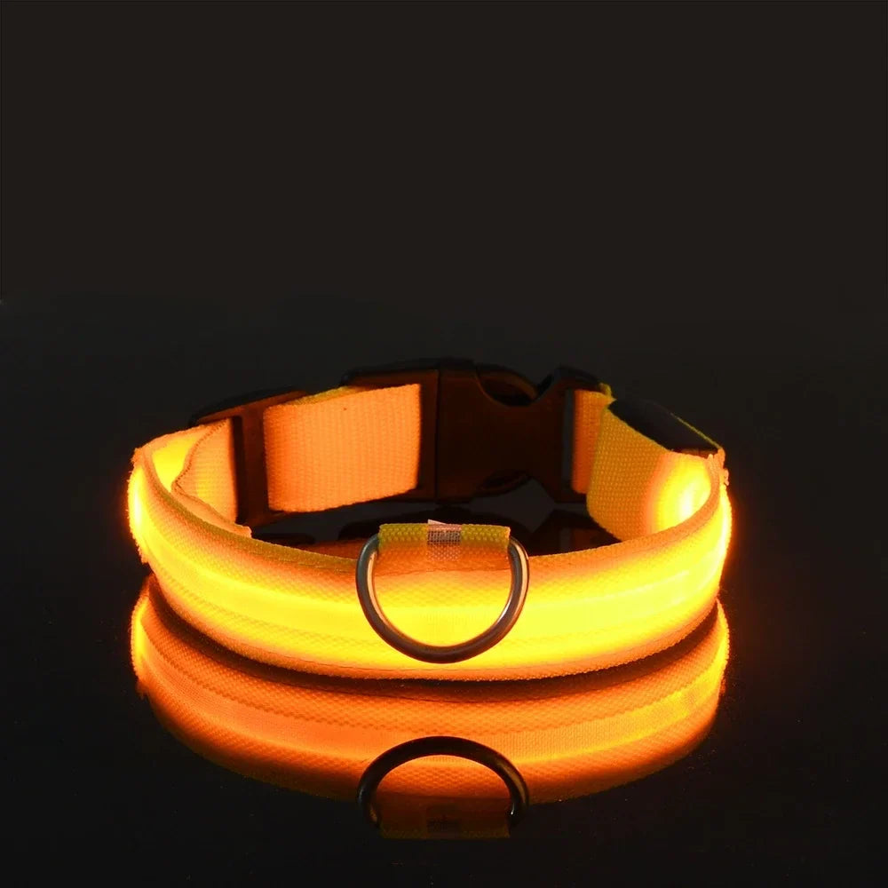 Luxe LED Dog Collar for Ultimate Night Safety