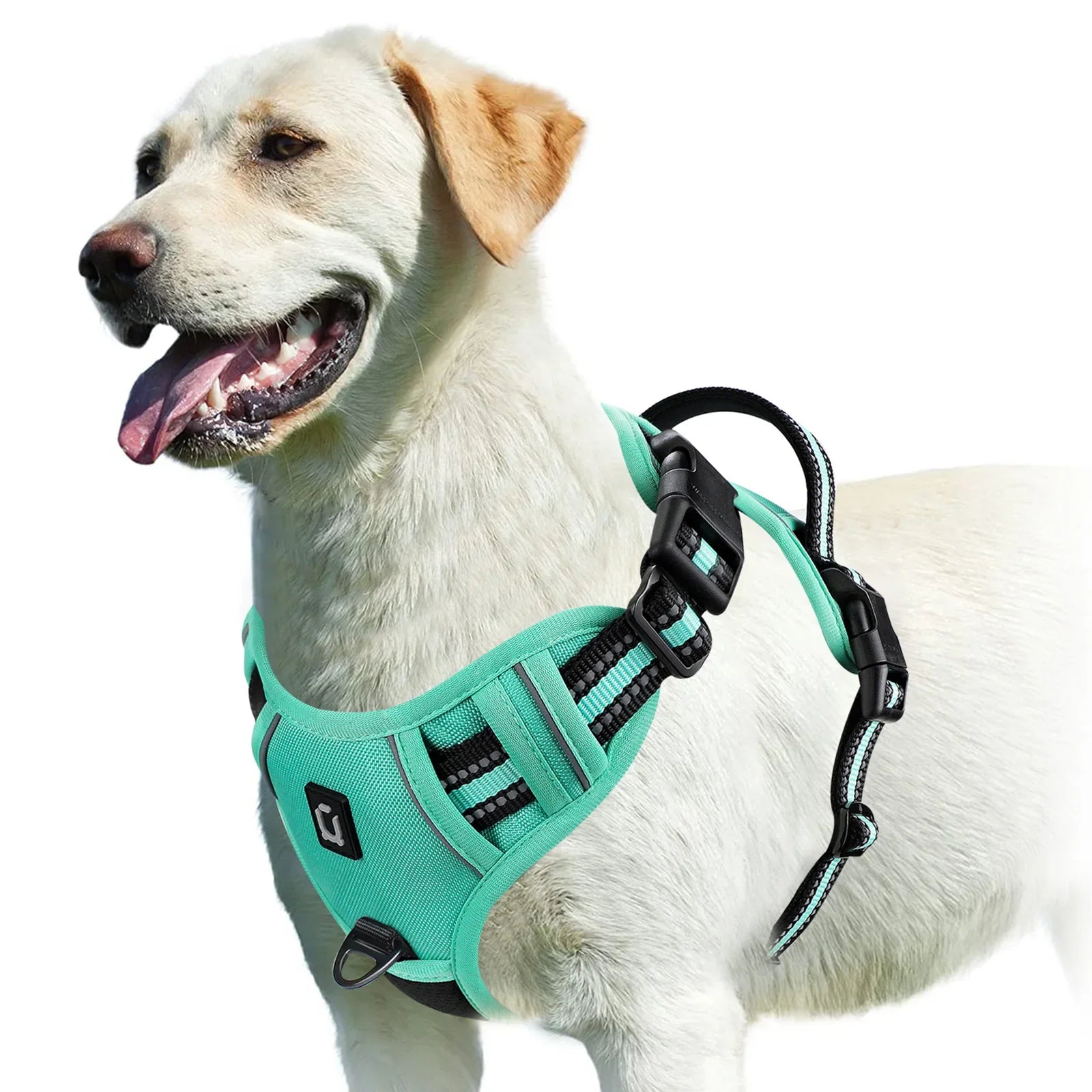 Adjustable Dog Harness for Ultimate Comfort and Safety