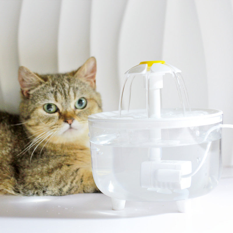 Ensure Eternal Flow of Fresh and Clean Water for Your Cat