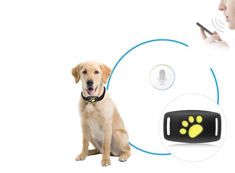 GPS Tracking System for Cats with Live Tracking and Real-Time Updates