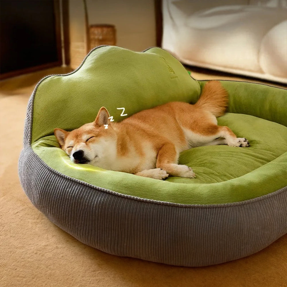 Plush Pillow for Cozy House Cats