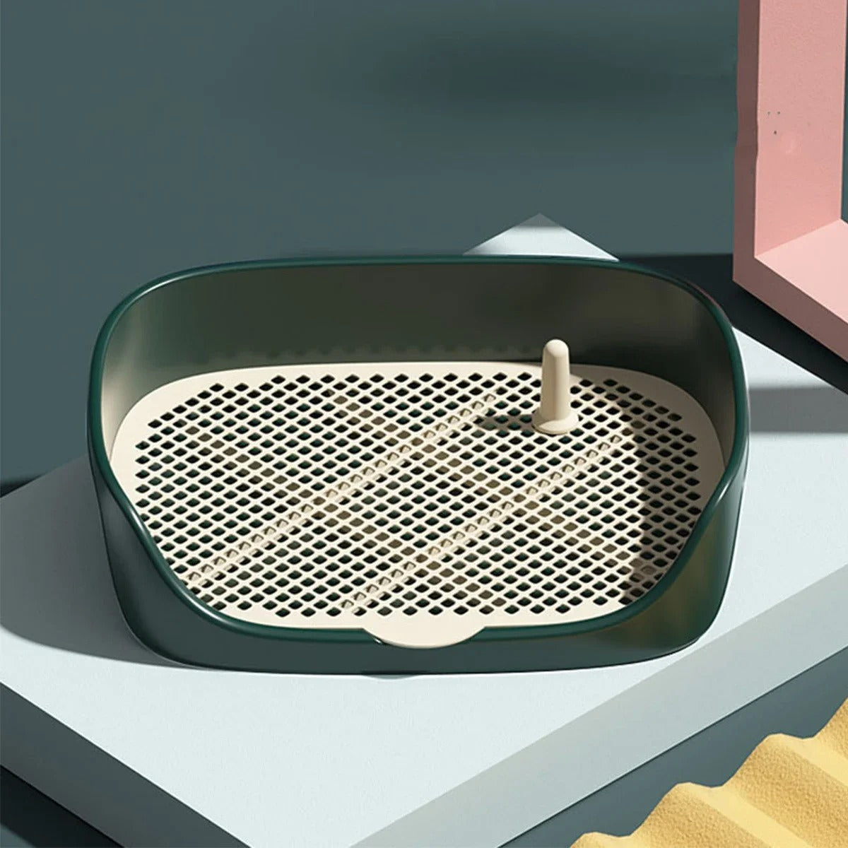 Potty Train Your Dog