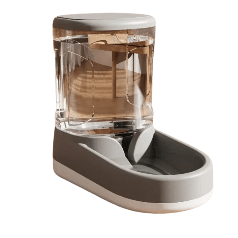 Easy and Comfortable Feeding Bowls for Pets