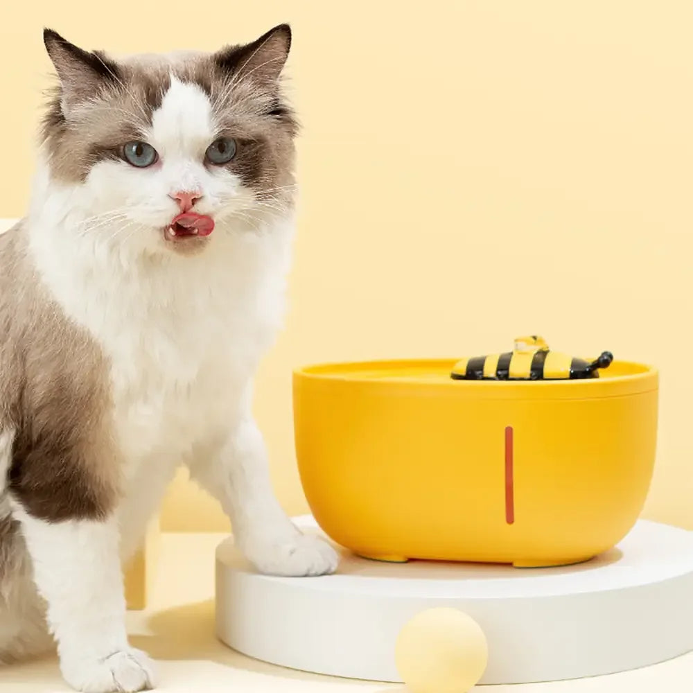 Continue Your Fresh Water Experience Anytime and Everywhere