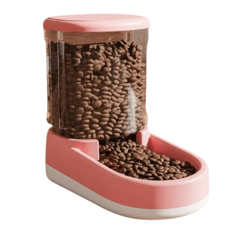 Easy and Comfortable Feeding Bowls for Pets