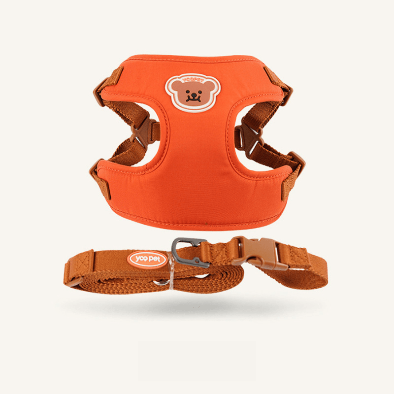 Cute and Adjustable Harness & Strap for Comfort and Safety