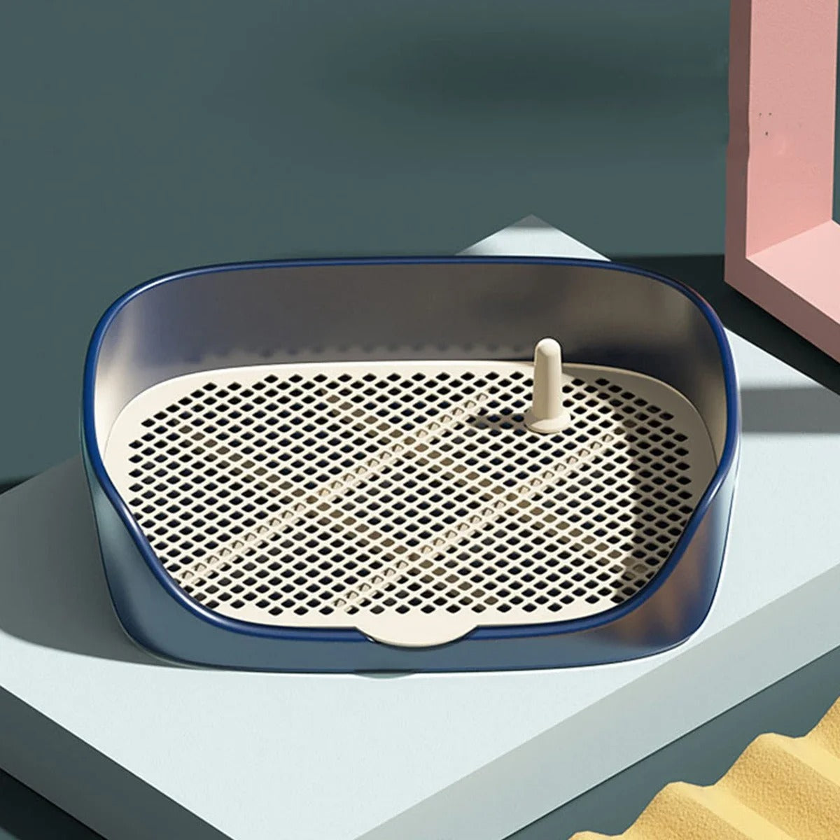 Potty Train Your Dog