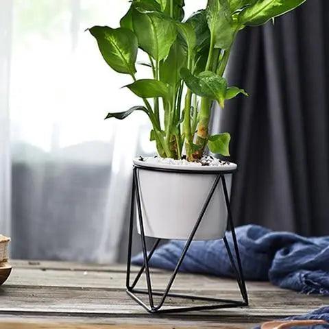Elegant ceramic pot with iron stand - Modern planter for air plants and succulents