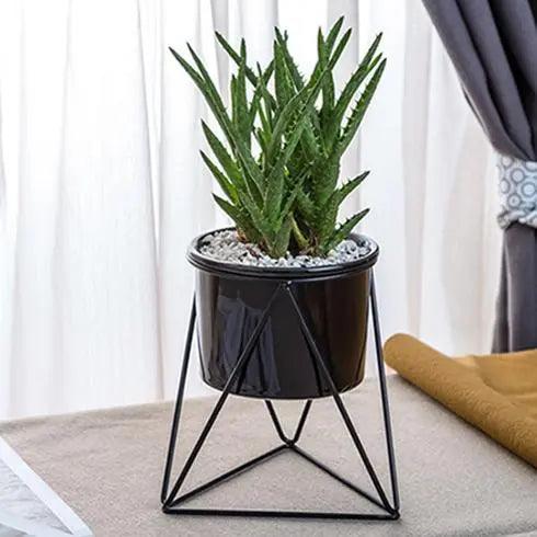 Elegant ceramic pot with iron stand - Modern planter for air plants and succulents