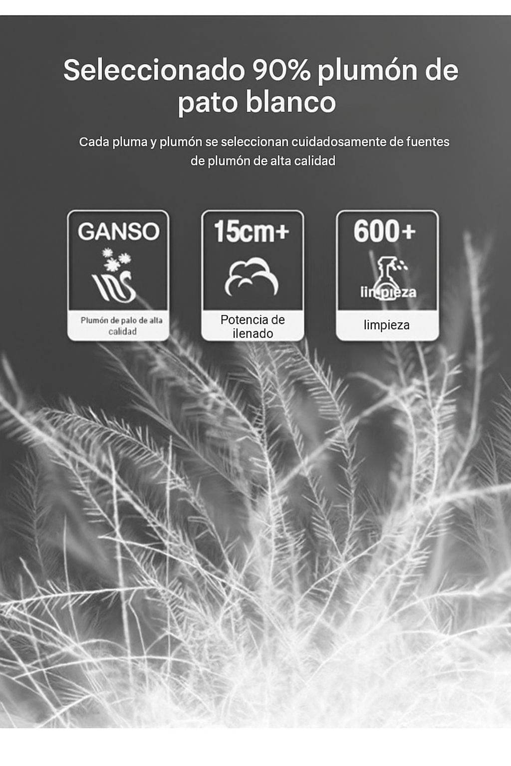 Ariston Premium Hybrid Jacket: Superior Performance and Versatile Style