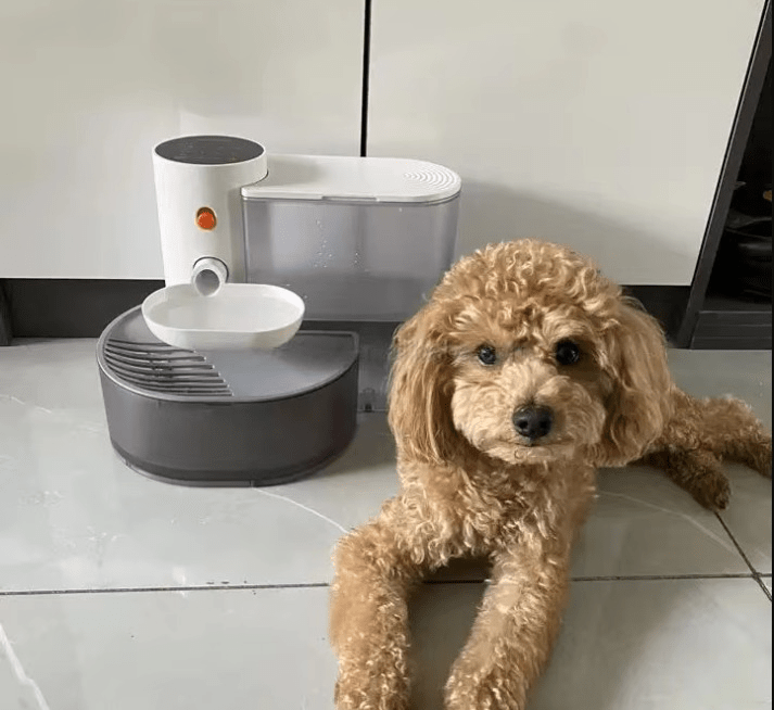 PetFresh | 1.8L Wireless Water Fountain for Easy and Healthy Drinking Enjoyment