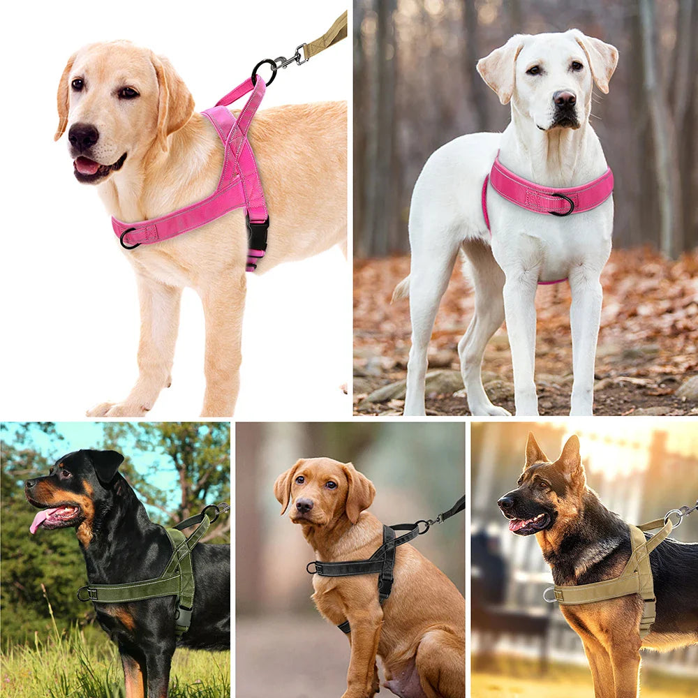 Comfortable Nylon Training Harness for Small and Medium Dogs