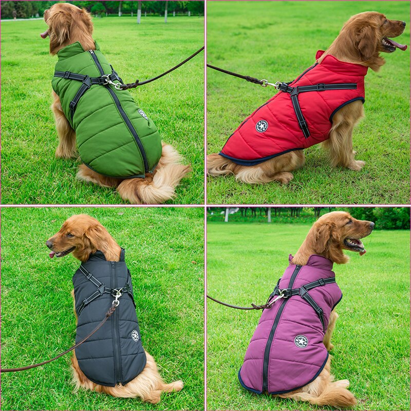 Luxury Waterproof Dog Coat with Cozy Insulation for Extra Warmth