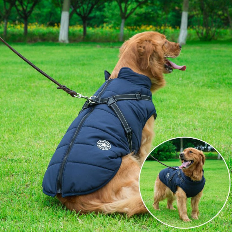 Luxury Waterproof Dog Coat with Cozy Insulation for Extra Warmth