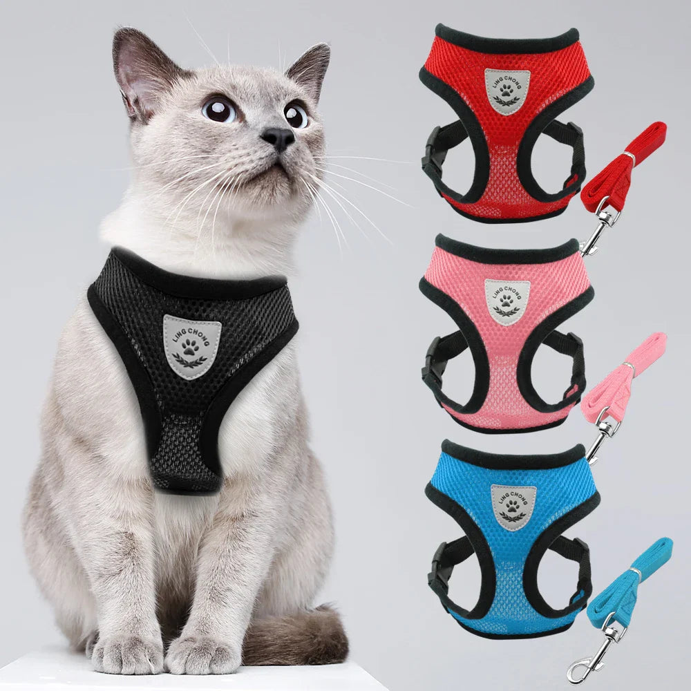 Reflective Cat Harness and Leash for Safer Walking