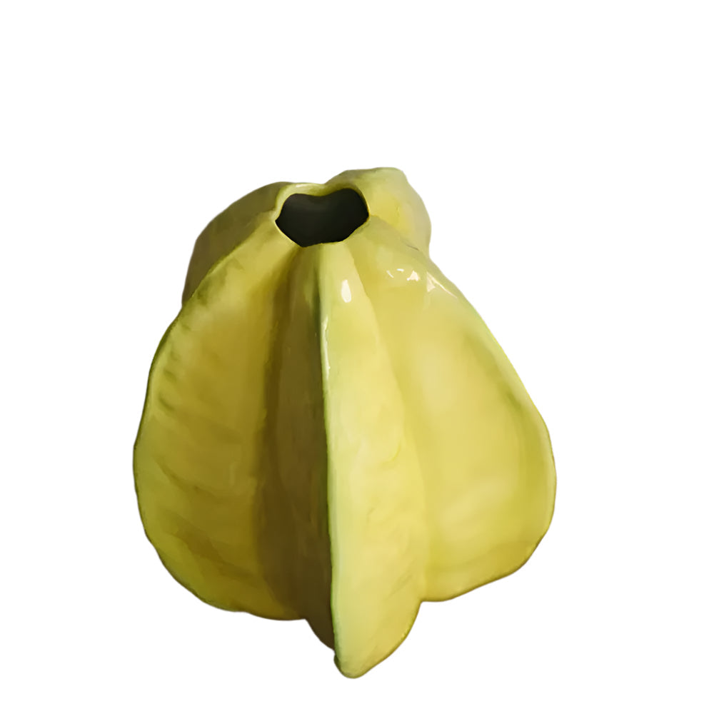 Nerithia - Handmade Ceramic Flower Vase in Elegant Starfruit Design