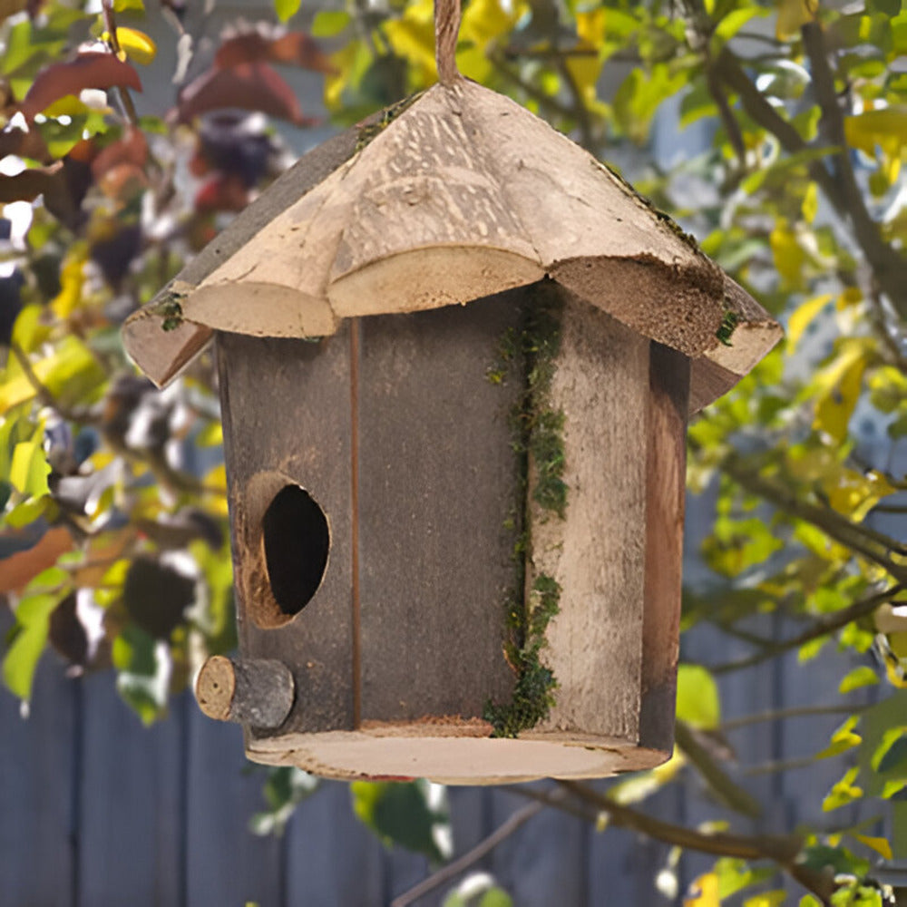 Domus - Charming Rustic Wooden Birdhouse with Hummingbird Design