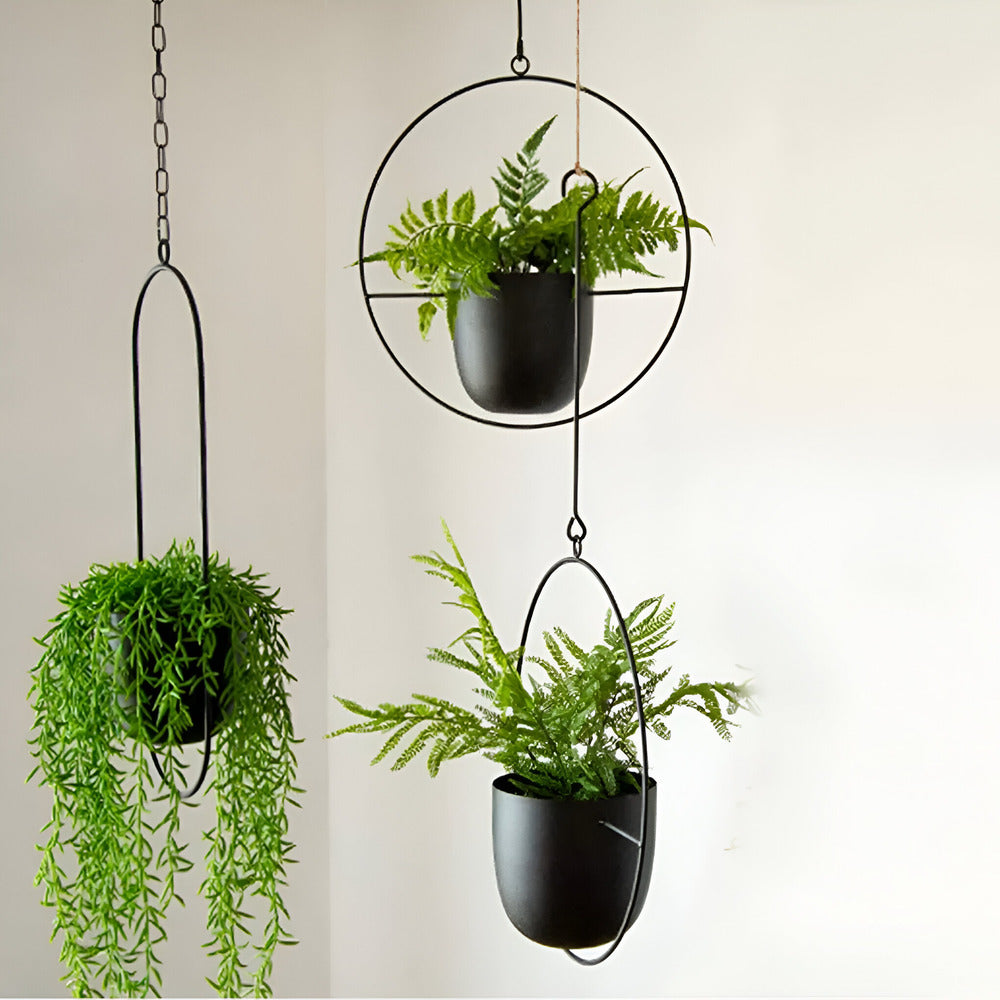 Caelessa - Sleek and Elegant Wall Planter for a Modern Interior