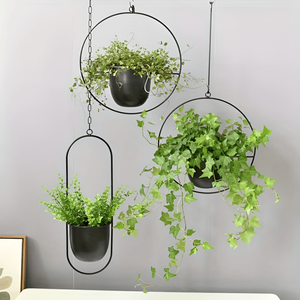 Caelessa - Sleek and Elegant Wall Planter for a Modern Interior