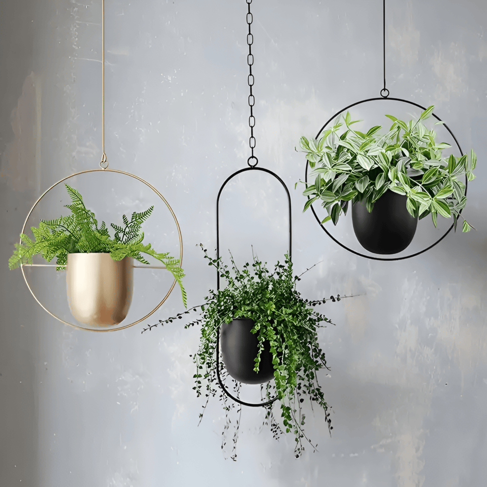 Caelessa - Sleek and Elegant Wall Planter for a Modern Interior