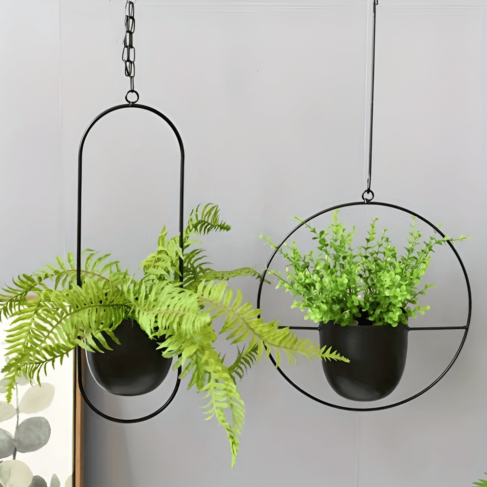 Caelessa - Sleek and Elegant Wall Planter for a Modern Interior