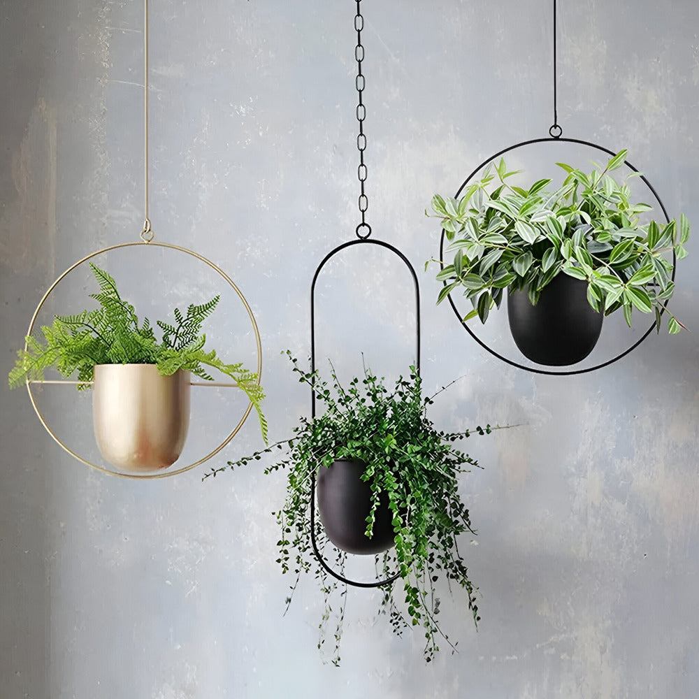 Caelessa - Sleek and Elegant Wall Planter for a Modern Interior