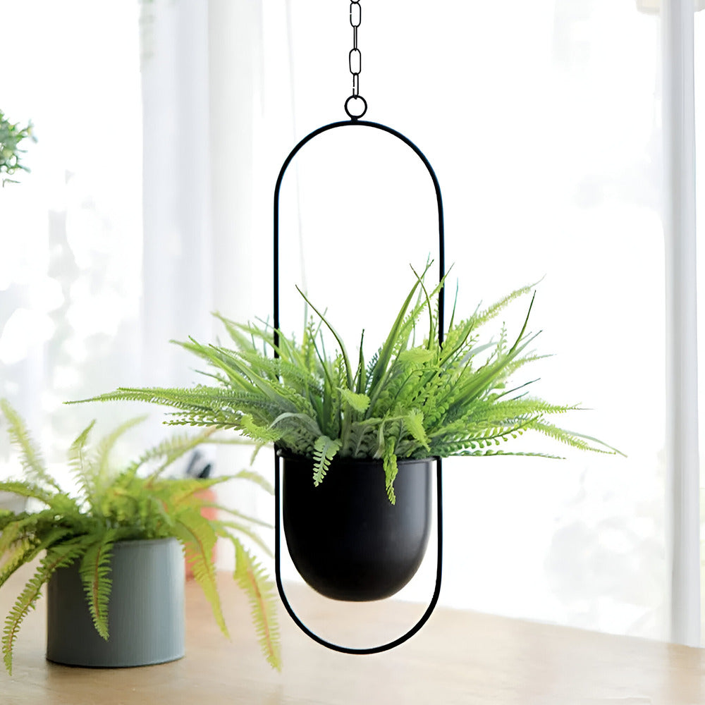 Caelessa - Sleek and Elegant Wall Planter for a Modern Interior