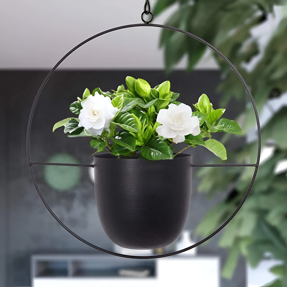 Caelessa - Sleek and Elegant Wall Planter for a Modern Interior