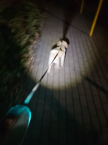 Ultimate Dog Safety: LED Lighting and 5m Range for Night Walking