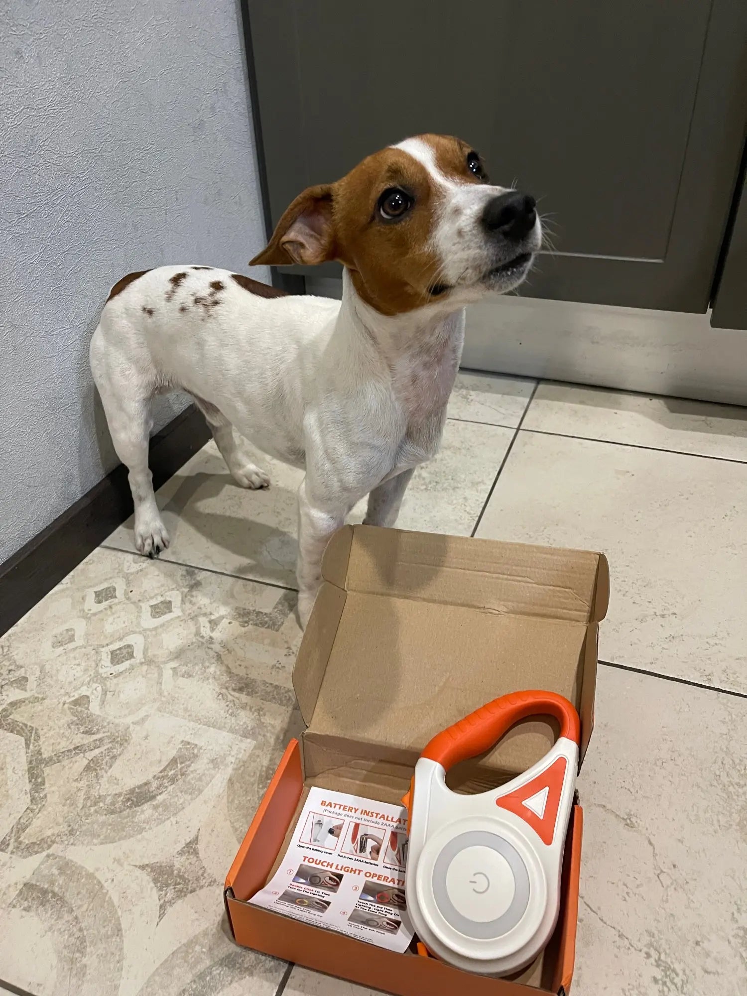 Ultimate Dog Safety: LED Lighting and 5m Range for Night Walking