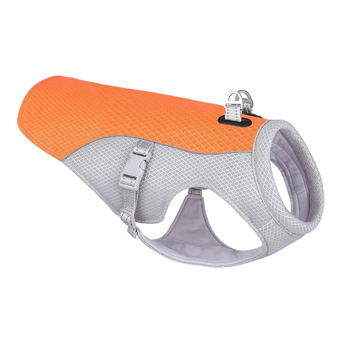 Refreshing Heat Protection for Dogs During Summer