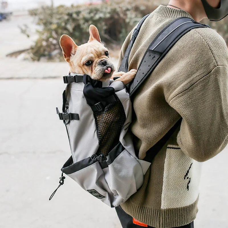 Luxury Dog Travel Bag for Small and Medium Dogs