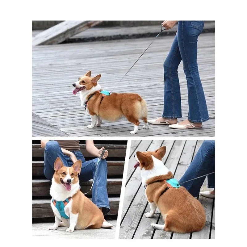Comfortable Dog Harness with Adjustable Leash and Breathable Design
