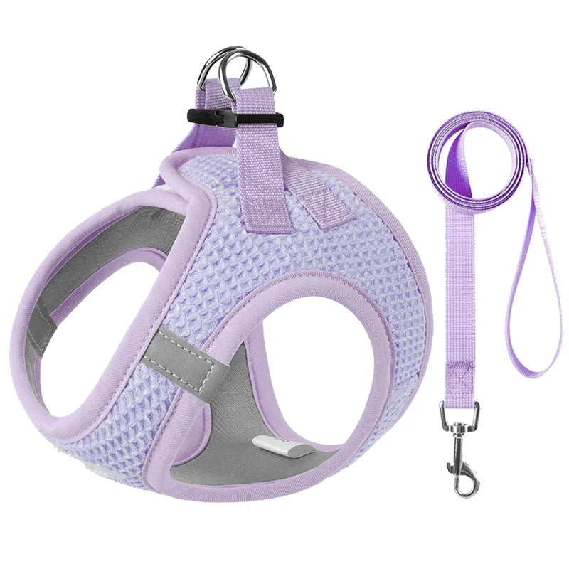 Comfortable and Reflective Harness & Leash for Pets for Safe and Stylish Walking
