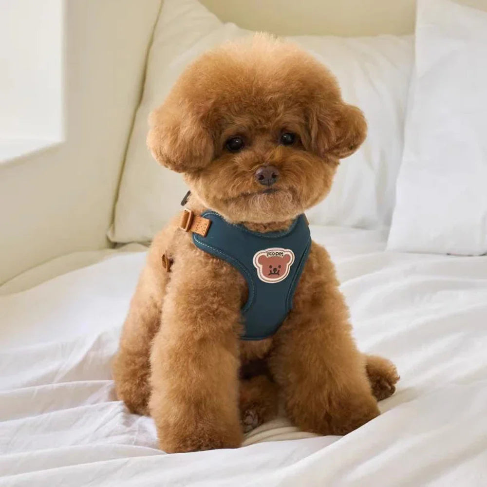 Cute and Adjustable Harness & Strap for Comfort and Safety