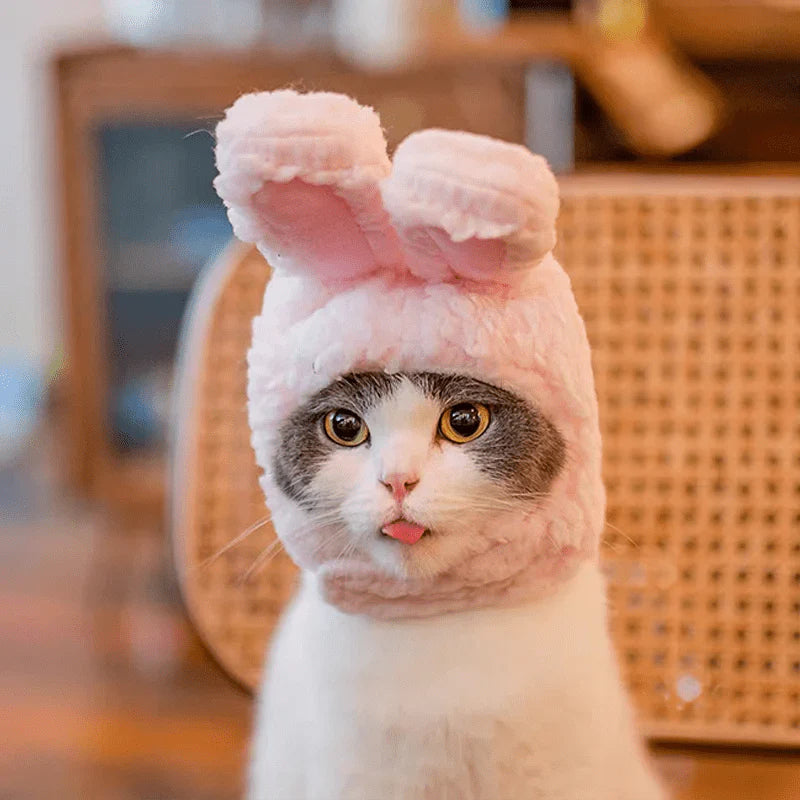 Cozy Winter Pet Hat