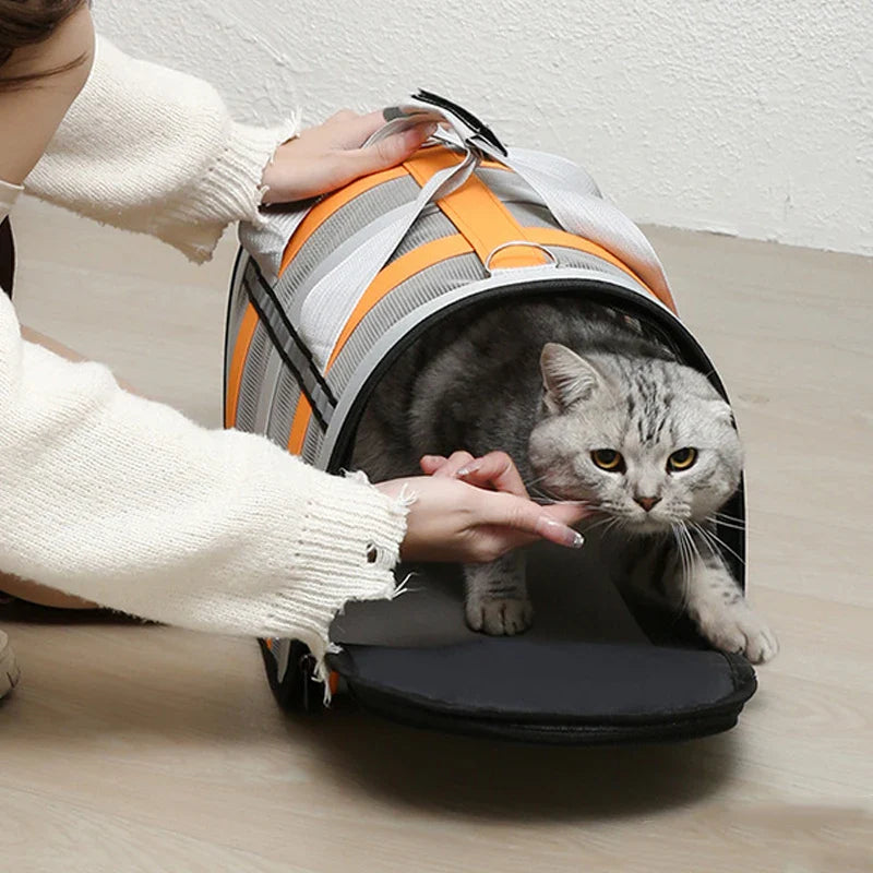 Foldable Luxury Pet Handbag for Easy and Stylish Pet Transport