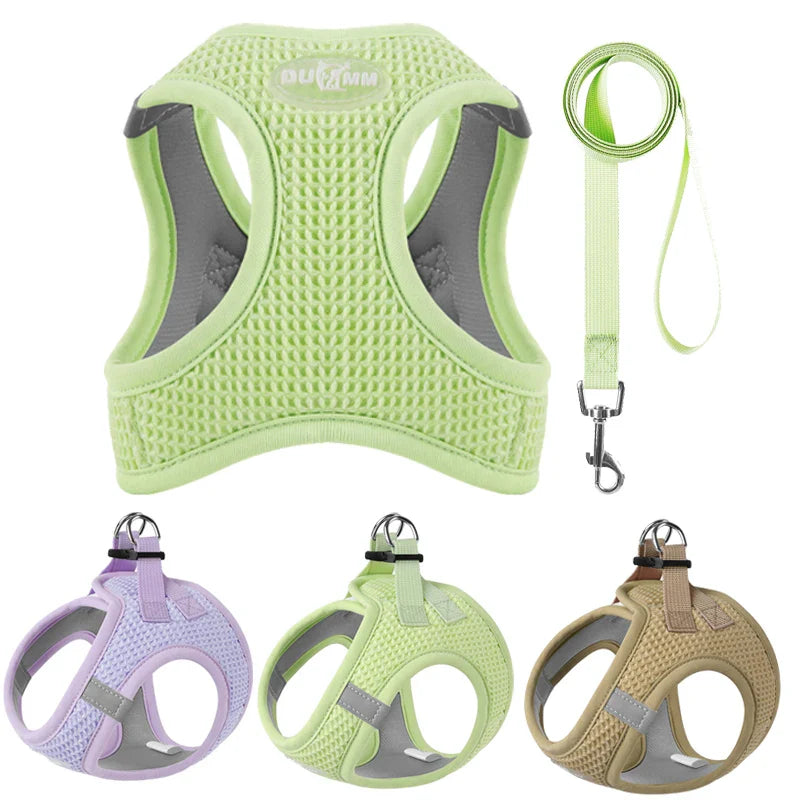 Comfortable and Reflective Harness & Leash for Pets for Safe and Stylish Walking