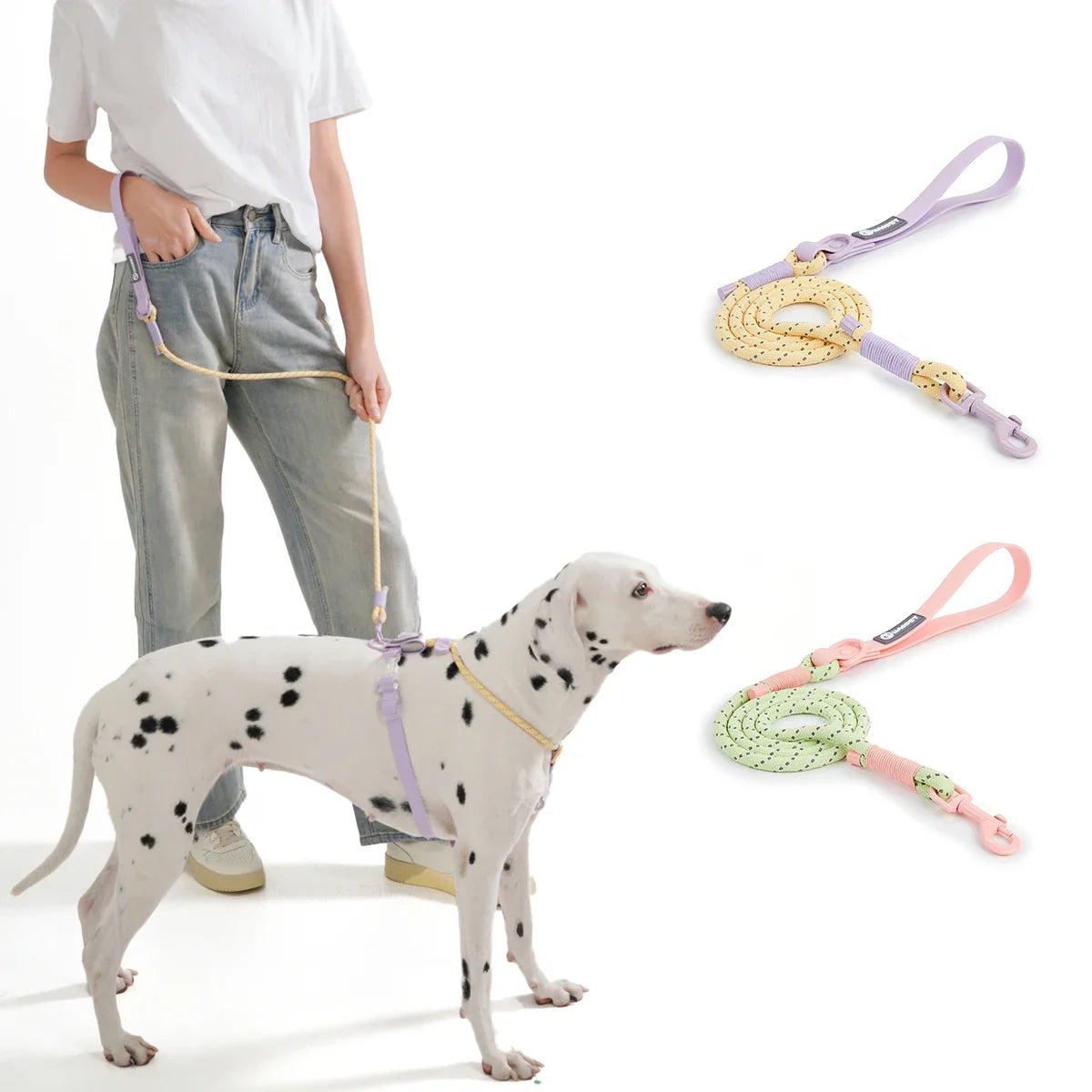WebTrek Luxe Handwoven Nylon Dog Leash for Comfort and Durability