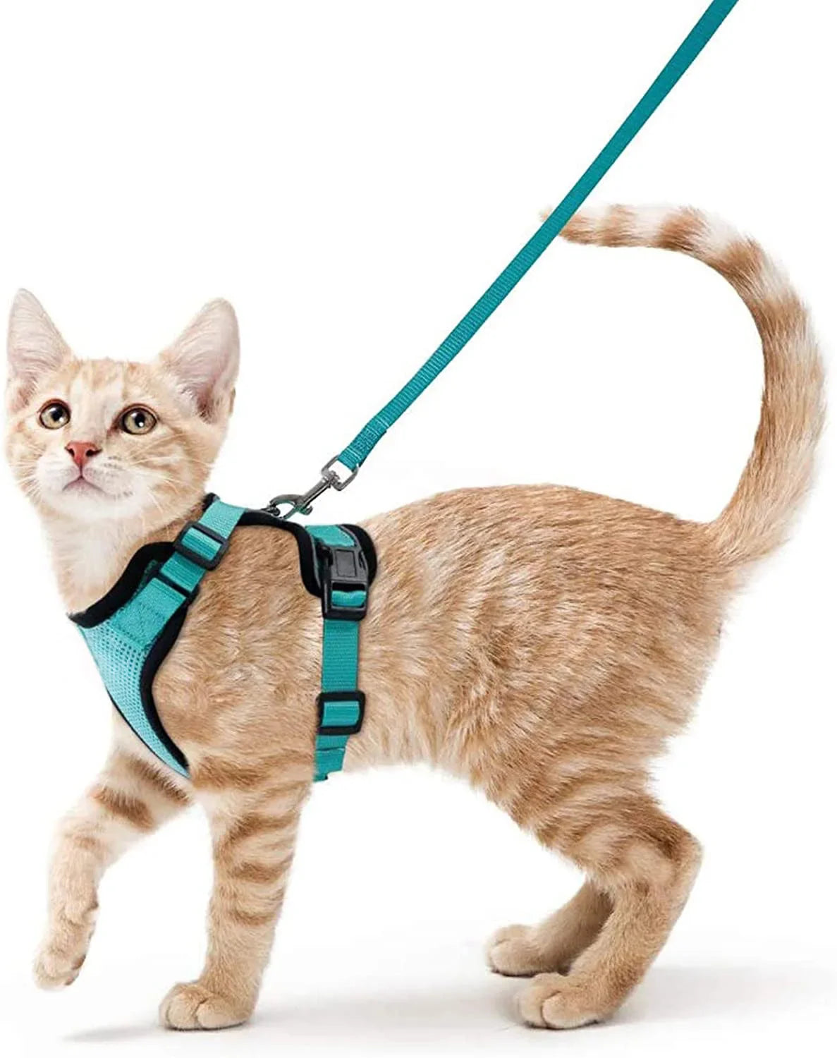 Comfortable and Safe Walking Harness for Cats
