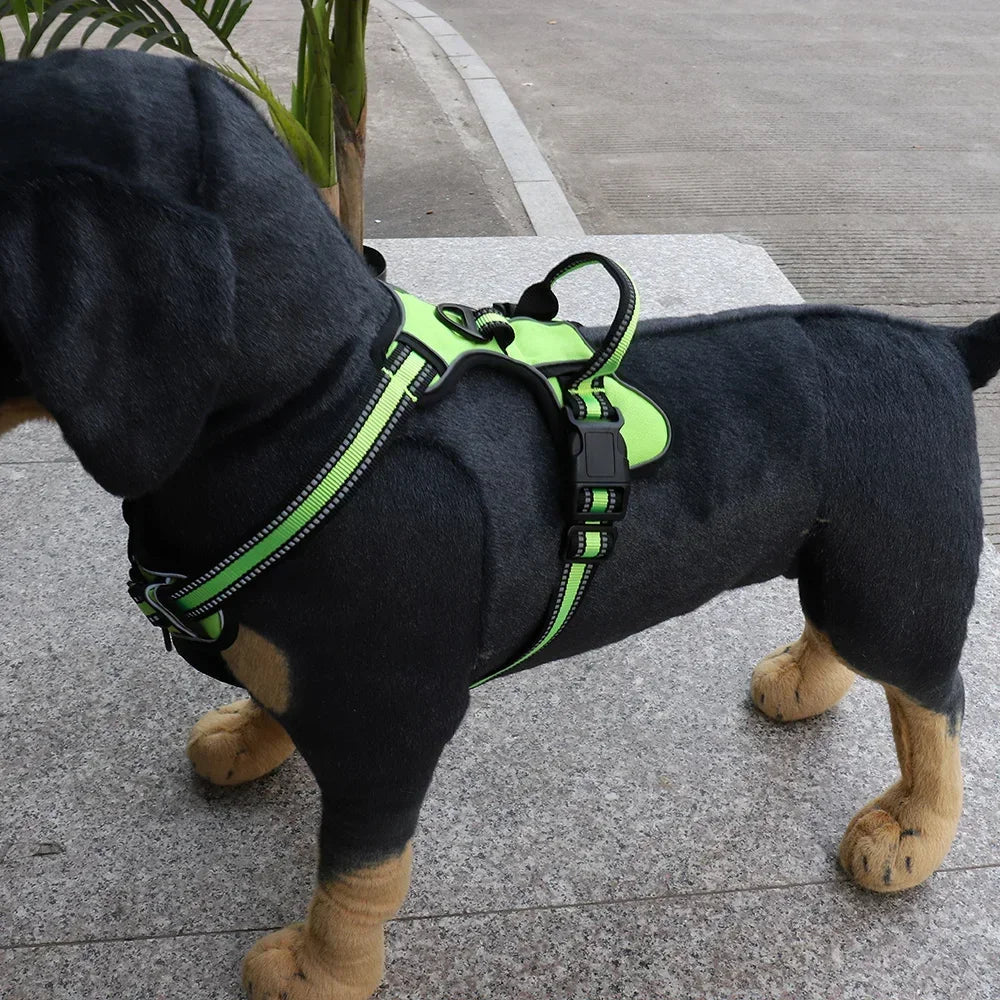 Adjustable Nylon Dog Harness for Comfort and Safety