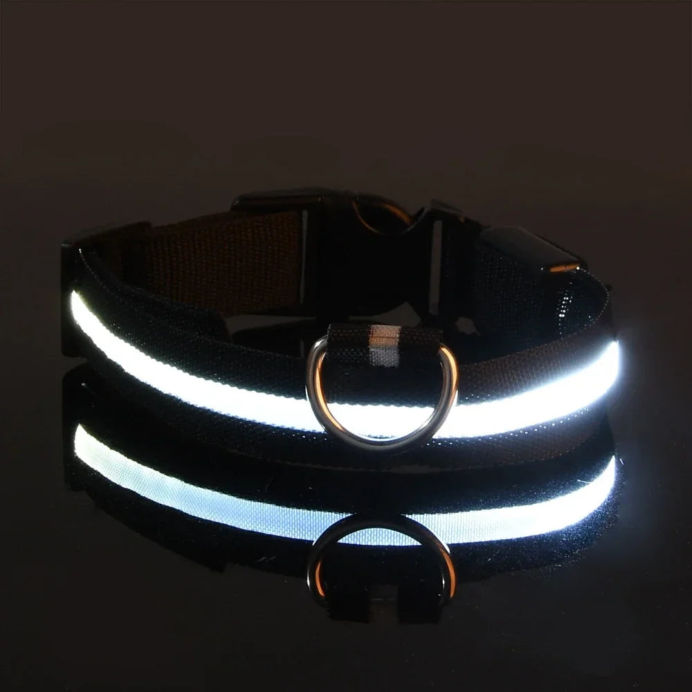 Luxe LED Dog Collar for Ultimate Night Safety