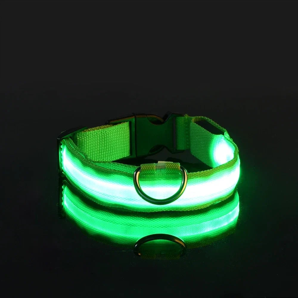 Luxe LED Dog Collar for Ultimate Night Safety
