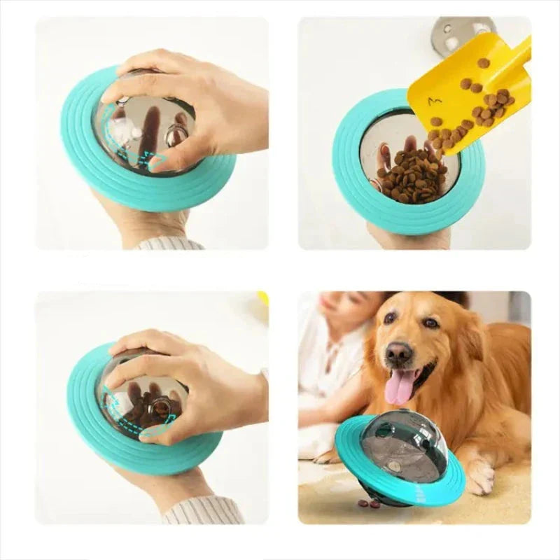 Fun and Educational Game for Training