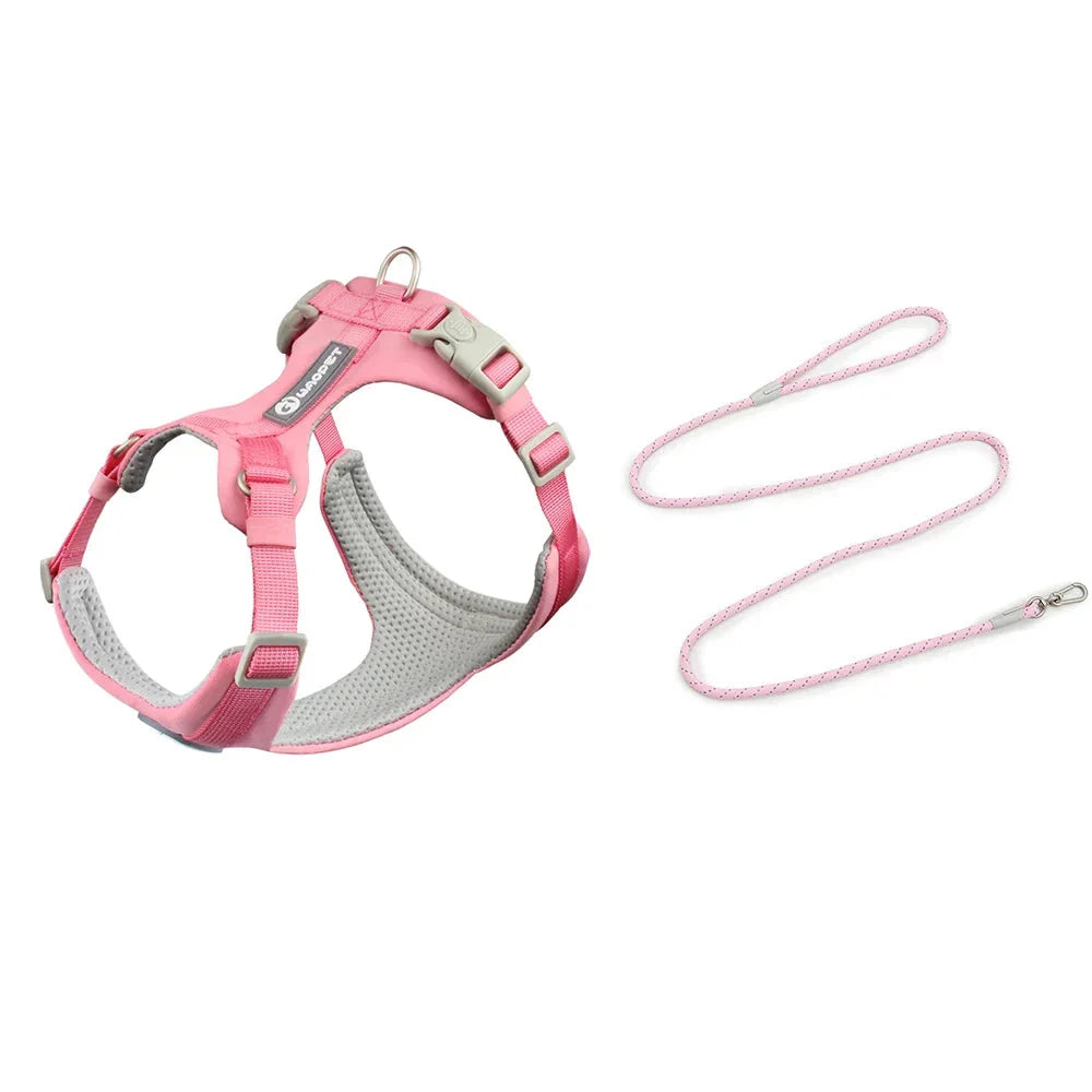 Ultimate Harness and Rope Set for Outdoor Training and Adventure